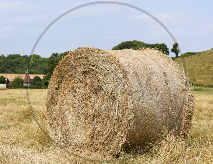 Hay Grass Bundles in Terrain lands