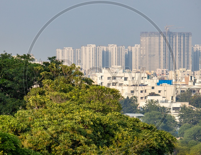 Tree Canopy Over Hyderabad City Scape View With High Rise Buildings