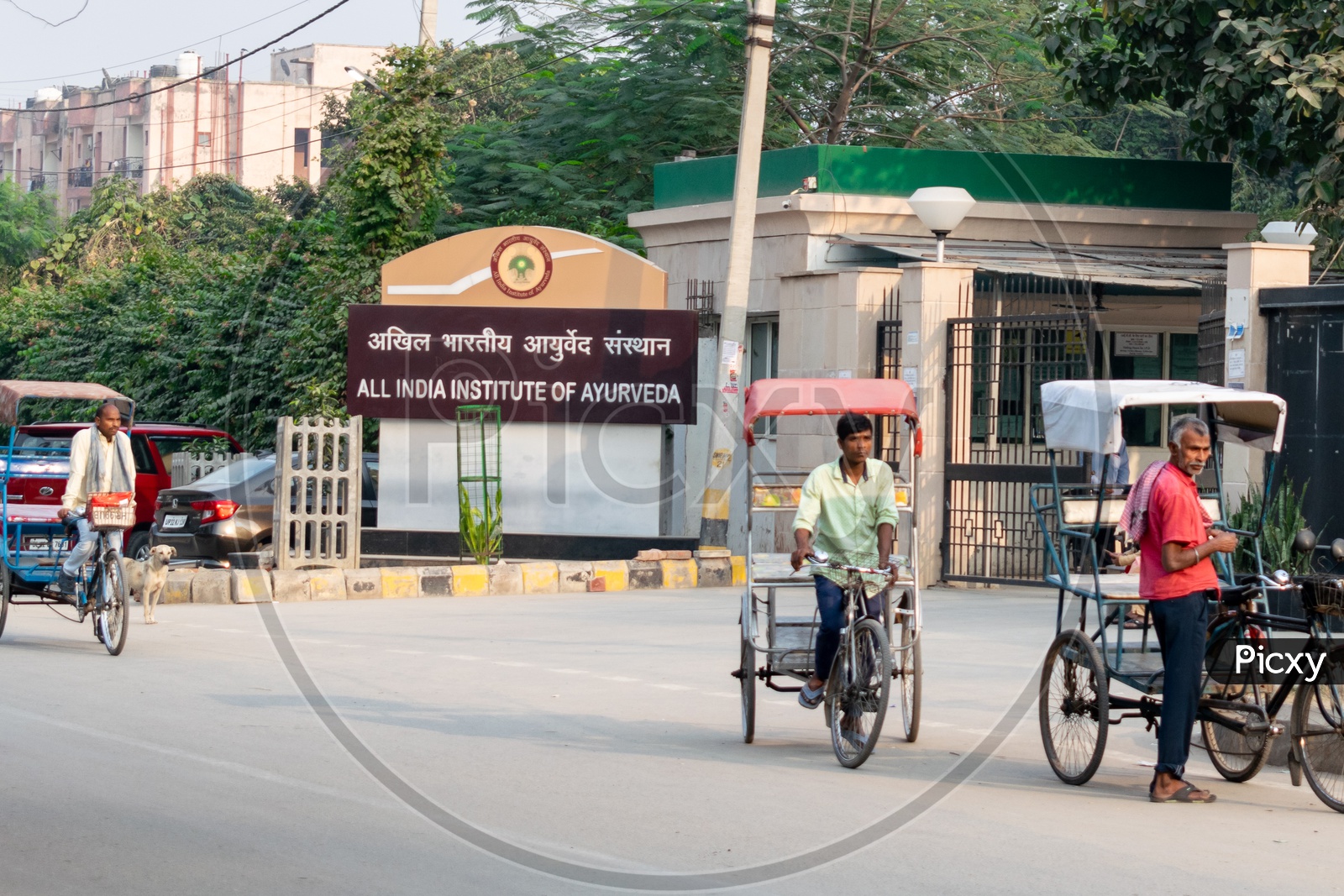 All India Institute of Ayurveda entrance and rickshaw wala