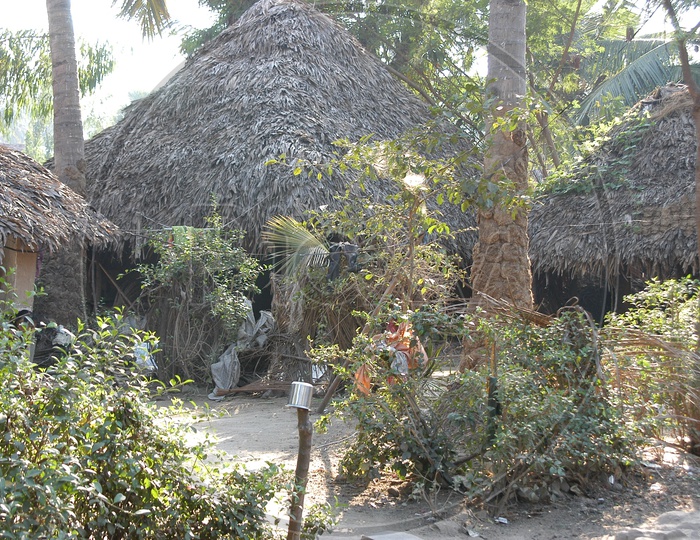 Huts in Indian Tribal Villages