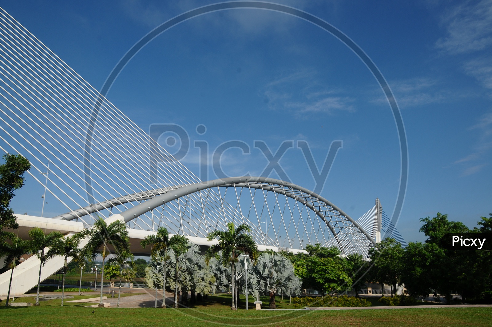 A View Of Putra Bridge , A Cable Stayed Bridge Over Putrajaya Lake in malaysia