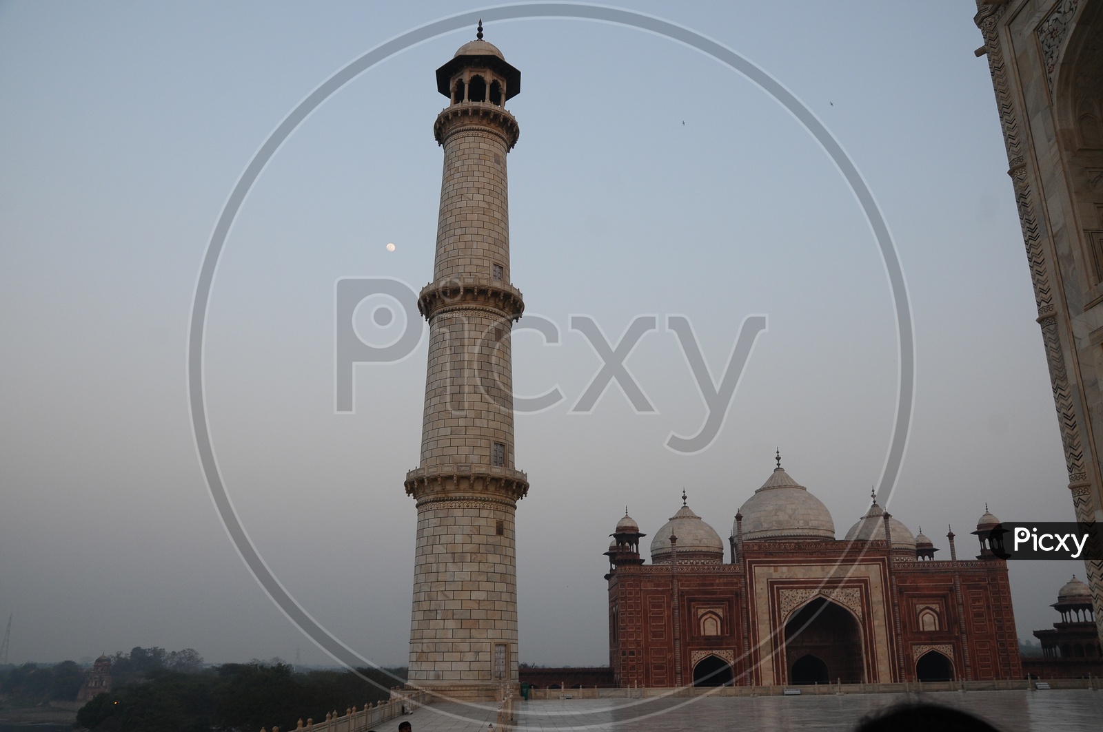Pillar Or Minar Of Taj Mahal