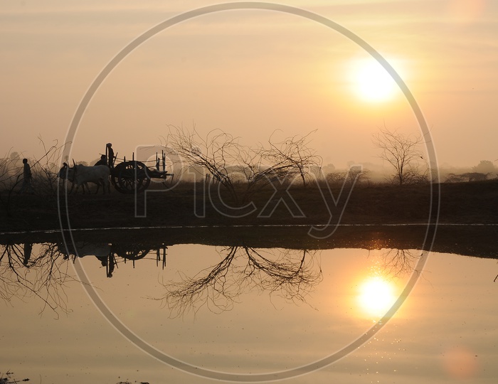 Silhouette Of Bullock cart And Its Reflection In an Pond With Sunset In Background