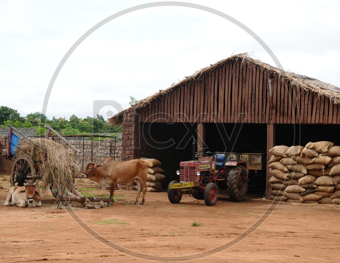 Rural Village House Compound With Paddy  Storage  Shelter