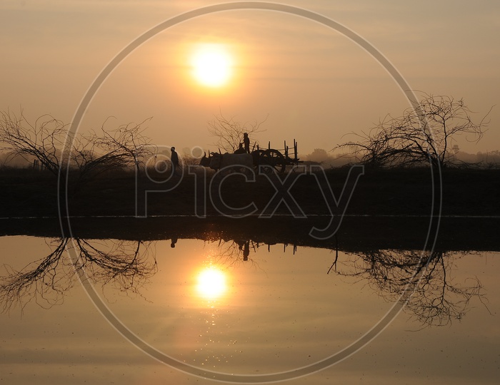 Silhouette Of Bullock cart And Its Reflection In an Pond With Sunset In Background