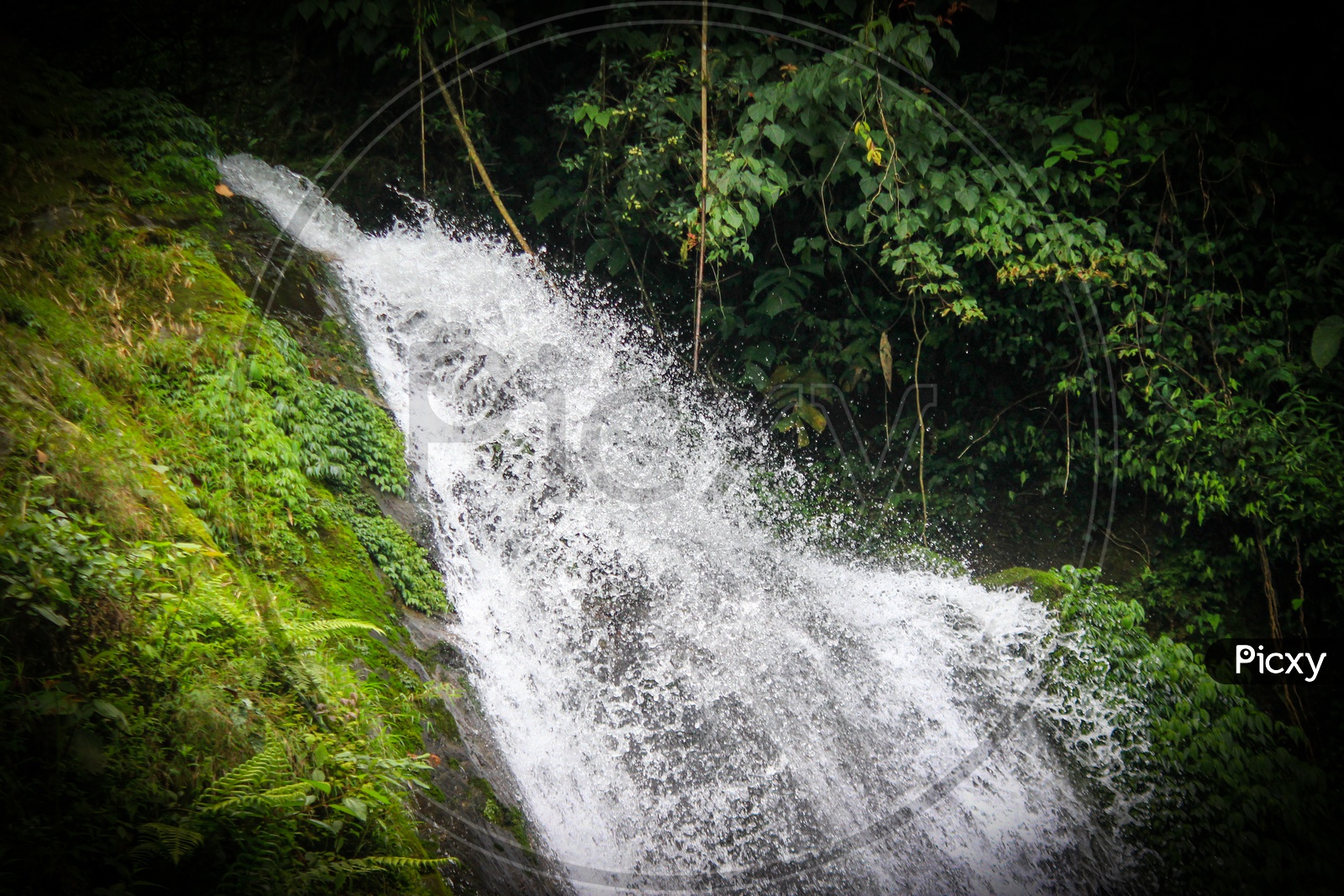 A Natural Waterfall In Hills Of Sikkim, India In Between Forest Vegetation