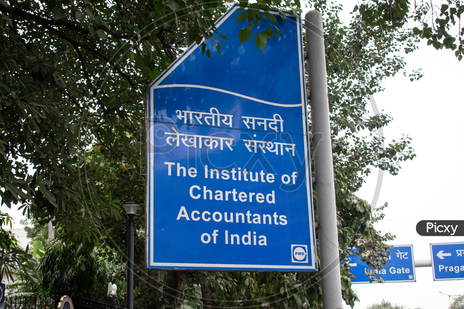 The Institute Of Chartered Accountants Of India In Delhi