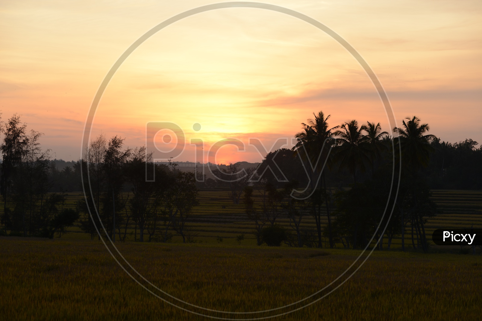 Sunset Over Agricultural Fields