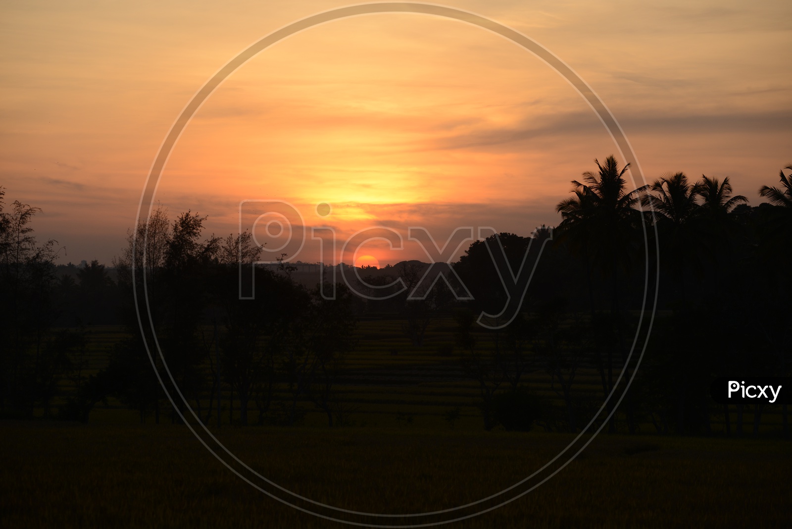 Sunset Over Agricultural Fields