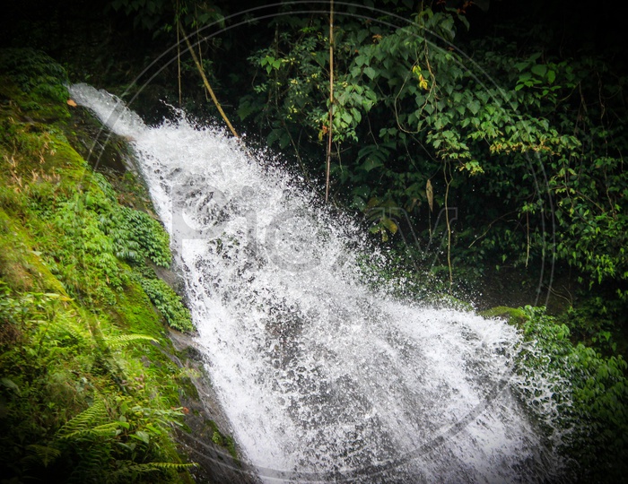 A Natural Waterfall In Hills Of Sikkim, India In Between Forest Vegetation