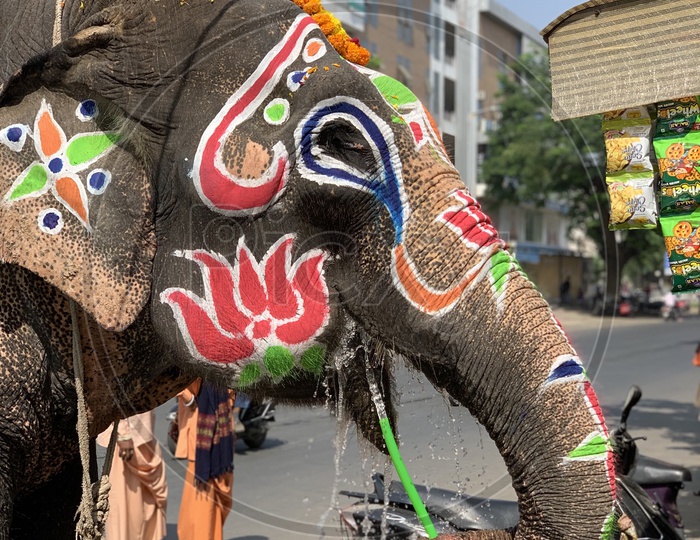 Hindu Temple Elephant Drinking Water With Water Pipe. Summer effect. 