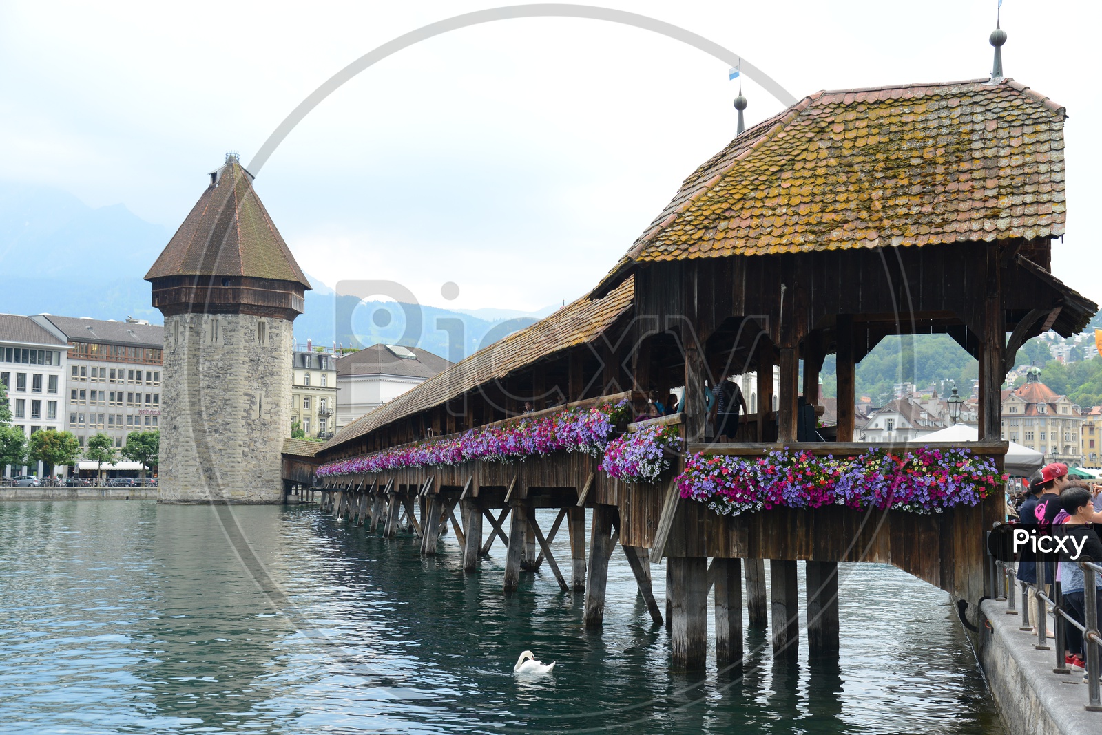 Wooden Bridge On a Lake At Switzerland