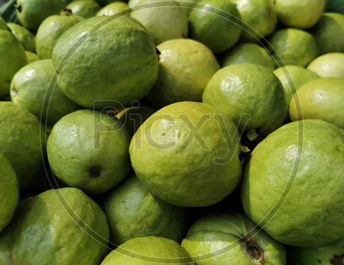 Guava Fruit Closeup Forming a Background