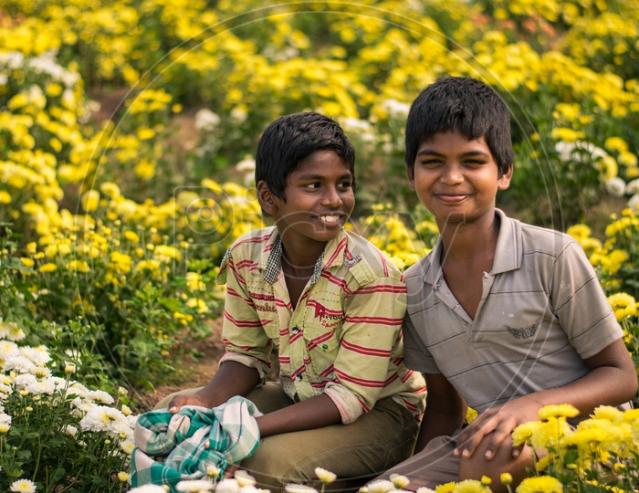 Two Young's boys in Marigold field