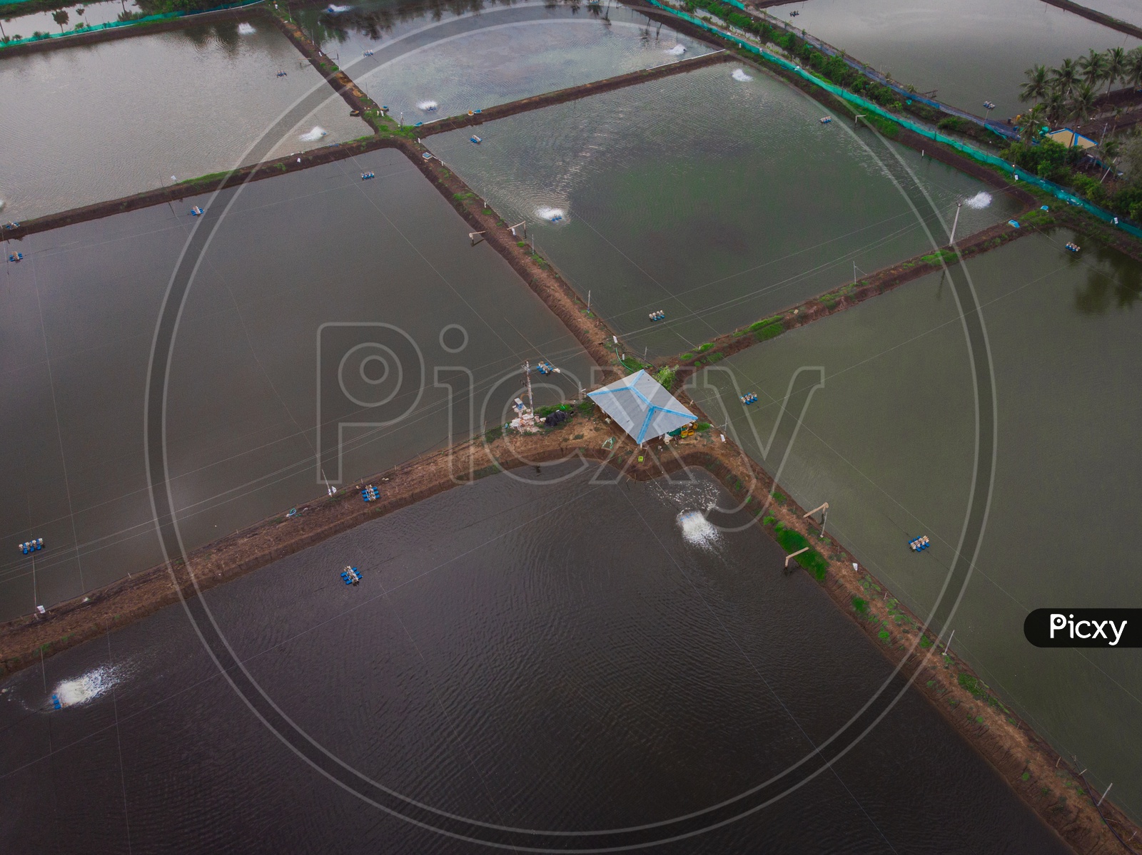 Aerial view of aquafarms