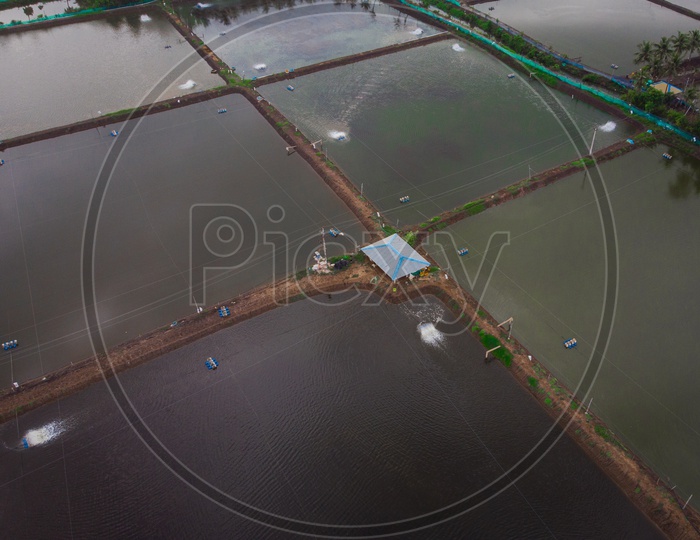 Aerial view of aquafarms