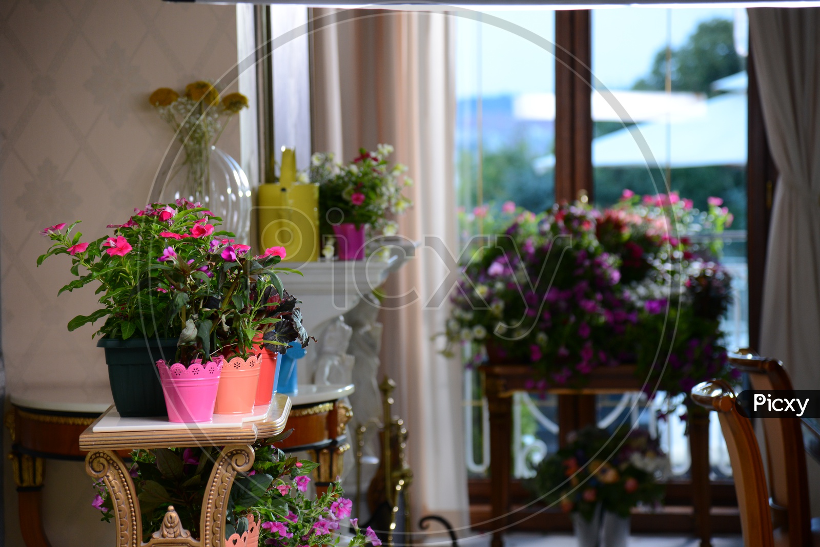 Flower Pots in a House