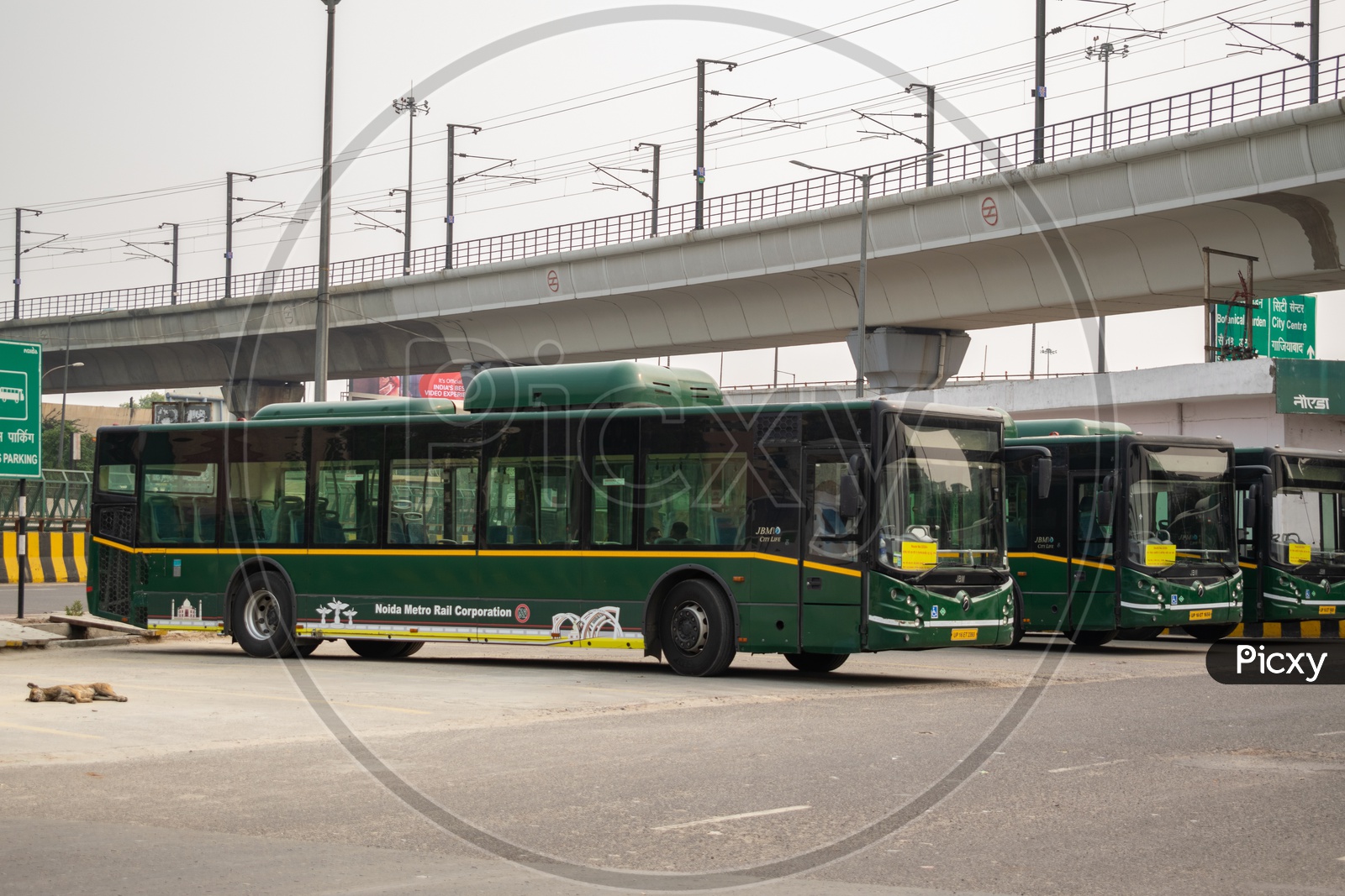 City Buses in Noida Run by Delhi Transport Corporation As JBM City Life