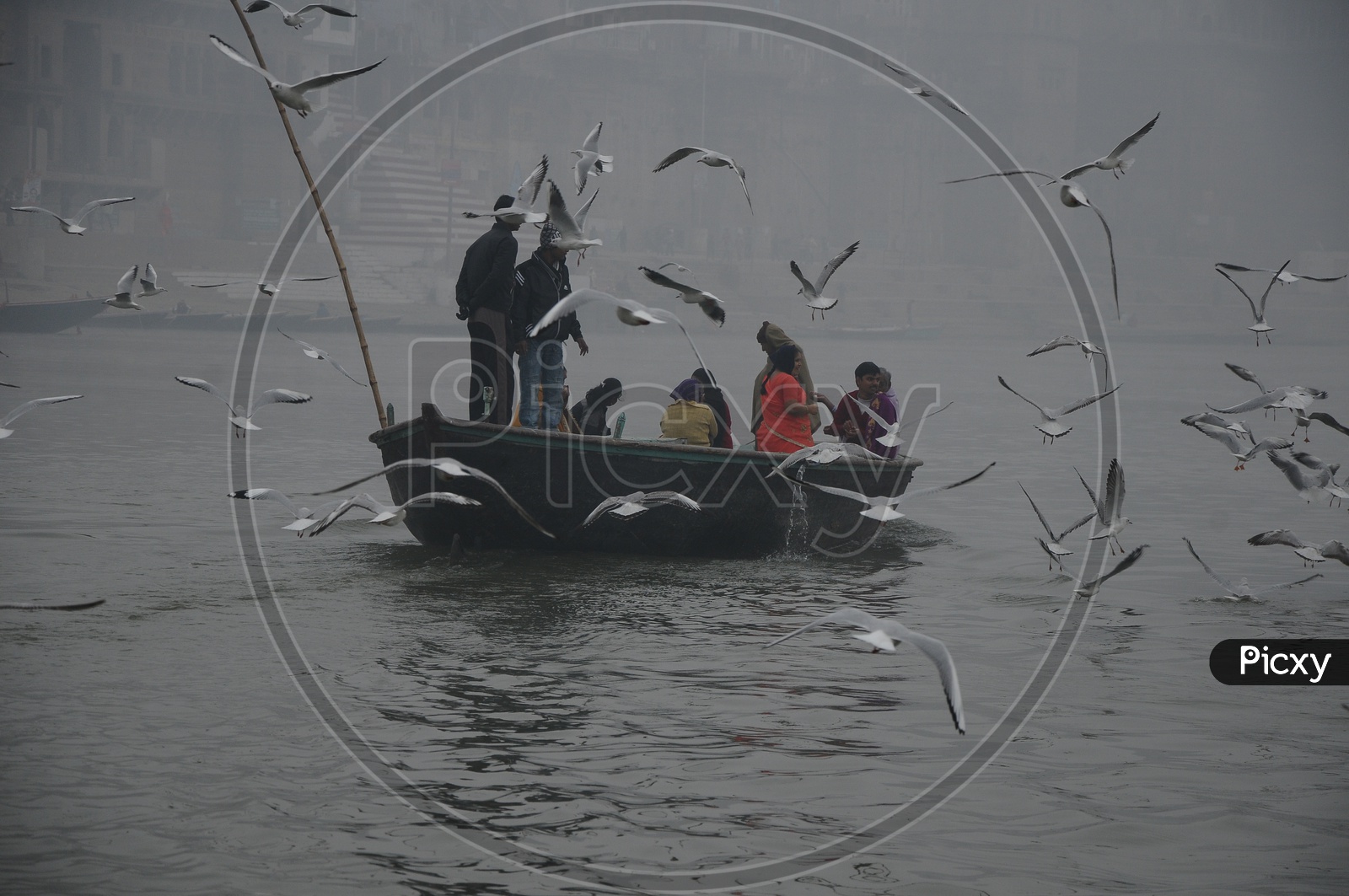 Pilgrims Enjoying The Morning Boat Rides on River Ganga in Varanasi With Migratory Birds