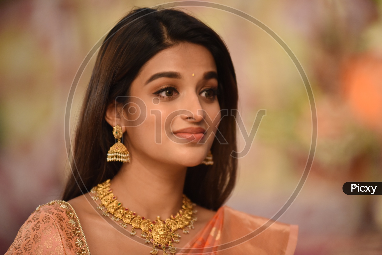 Image of Telugu Film Actress Nidhhi Agerwal-DH834715-Picxy