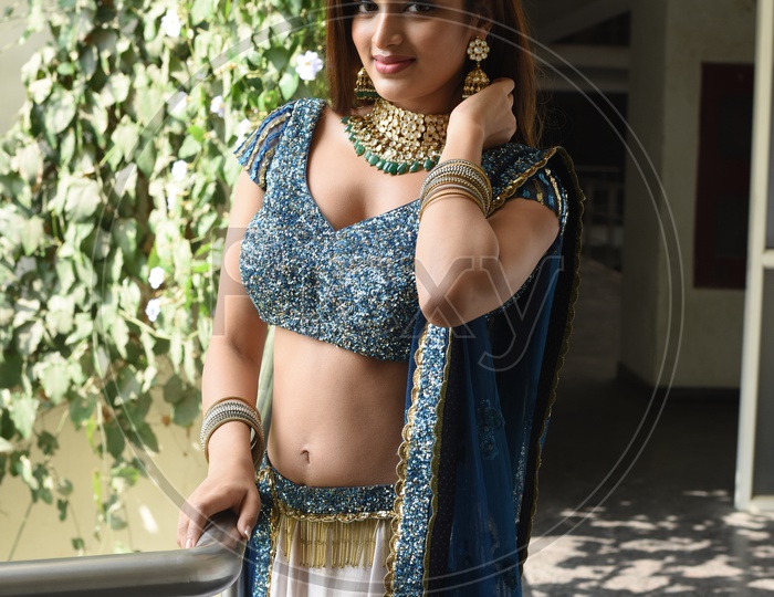 Telugu Film Actress Nidhhi Agerwal