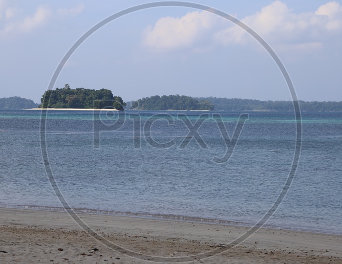 A View Of Trees In an Island From a beach