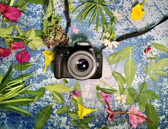 camera,some flowers on the flat lay background