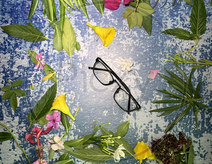 flat lay flowers and a glasses