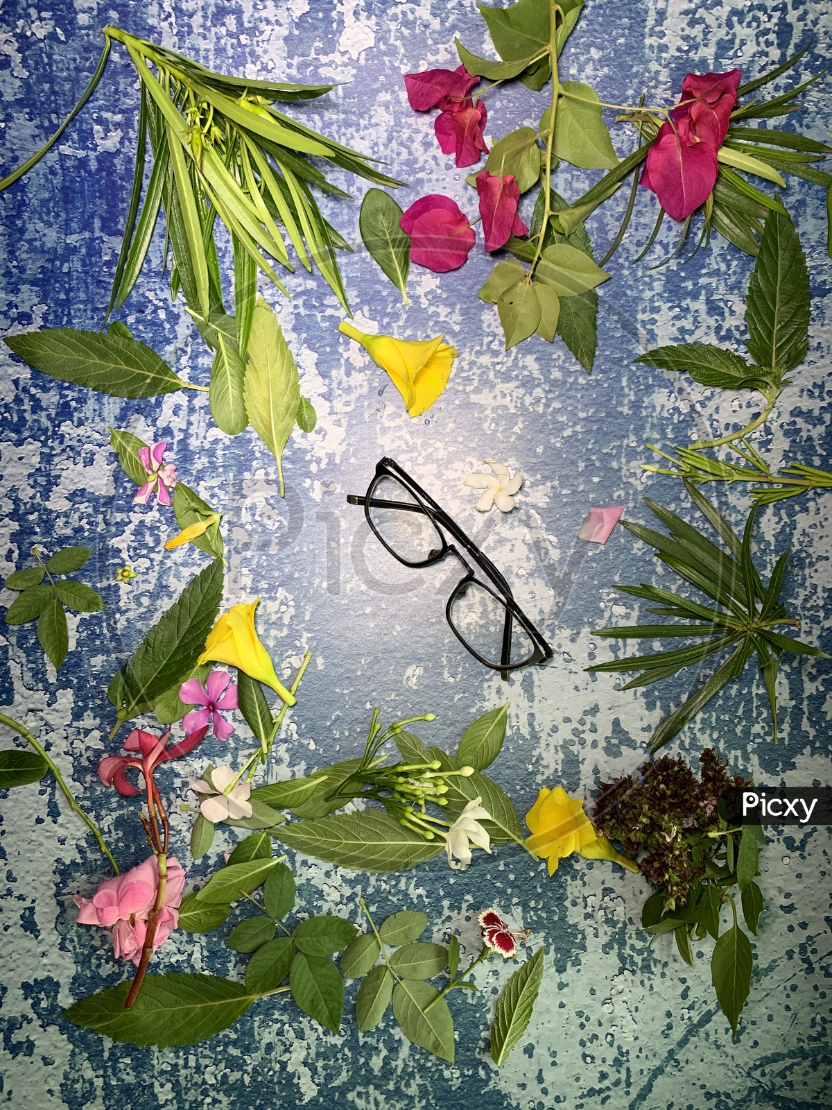 flat lay flowers and a glasses
