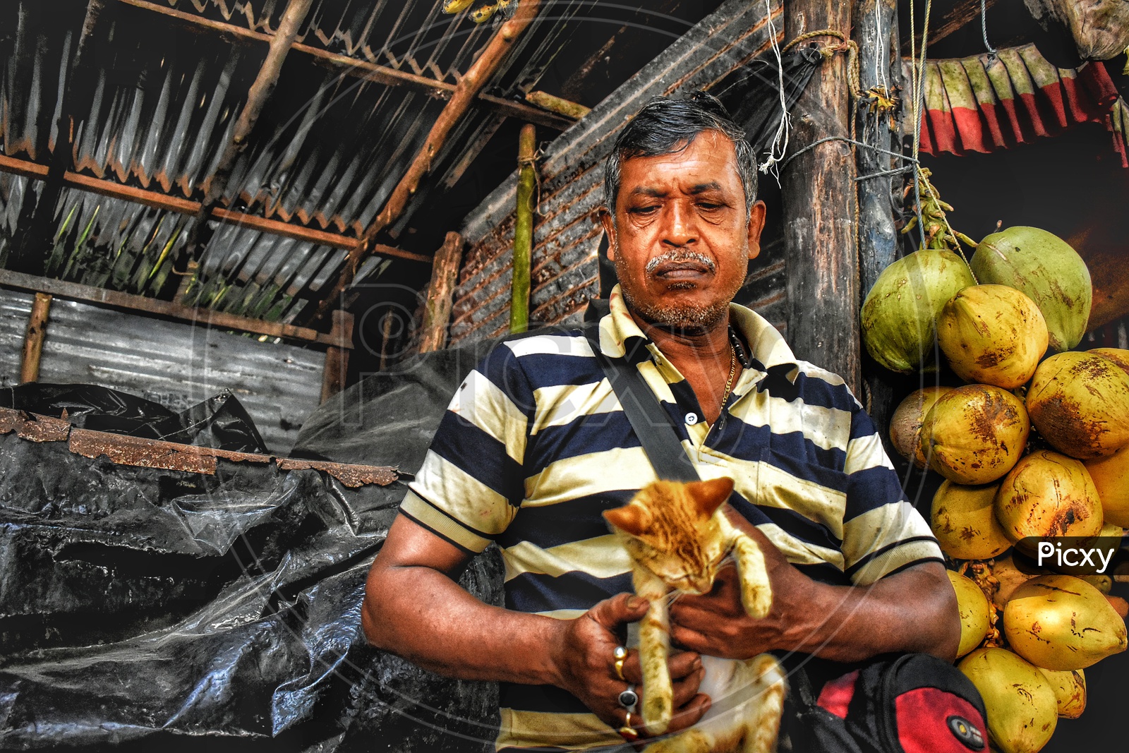 Man holding cat in coconut shop