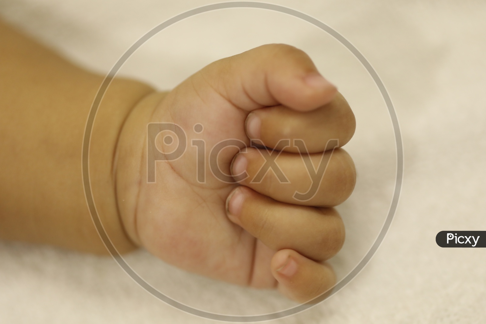 Closeup Shot of Little Baby Hand or Fingers