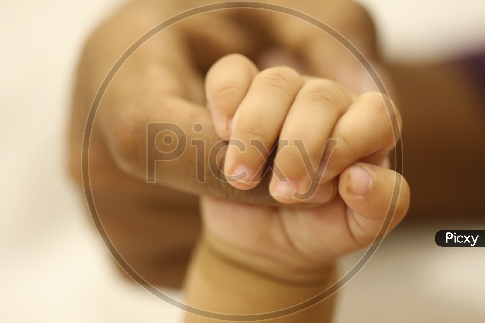 Just Born Baby hand holding father`s finger representing father and child love