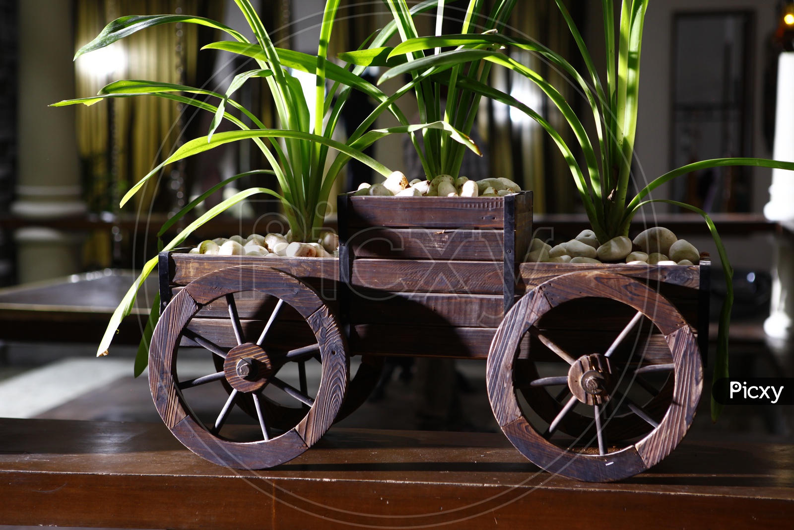 Wooden Cart Model In a House Cupboard  With green Plants