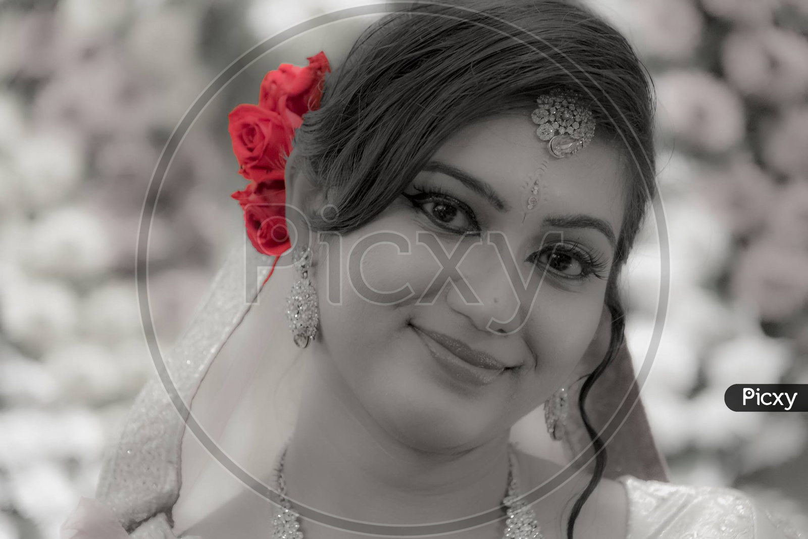 A Beautiful Young Indian Bride In Bridal Makeup With Eyes At The Camera In Black And White With Selective Red Colored Rose