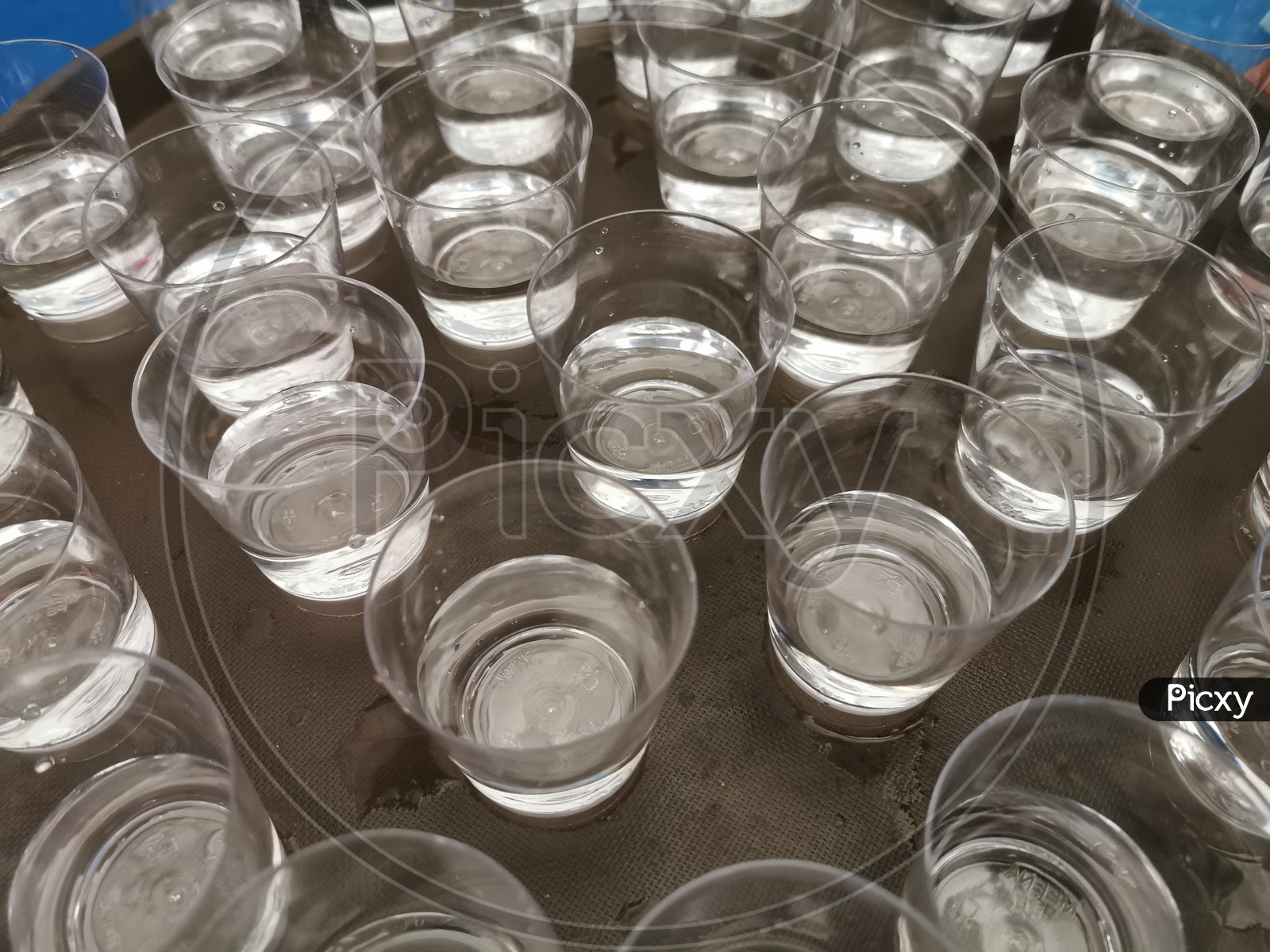 Vodka Shots Glasses In a Tray