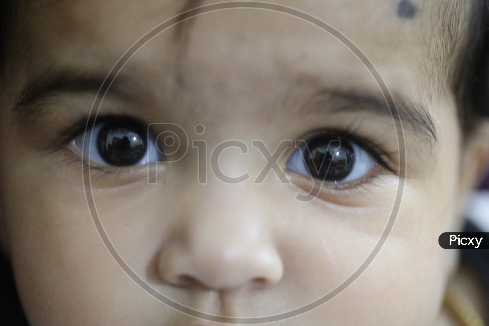 Closeup Shot of a Baby Face