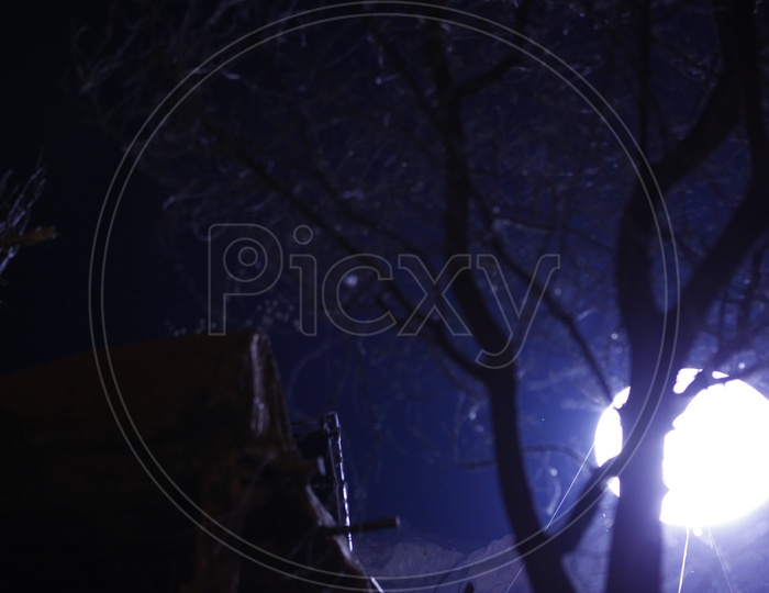 Canopy of  Tree Over Bright Full Moon