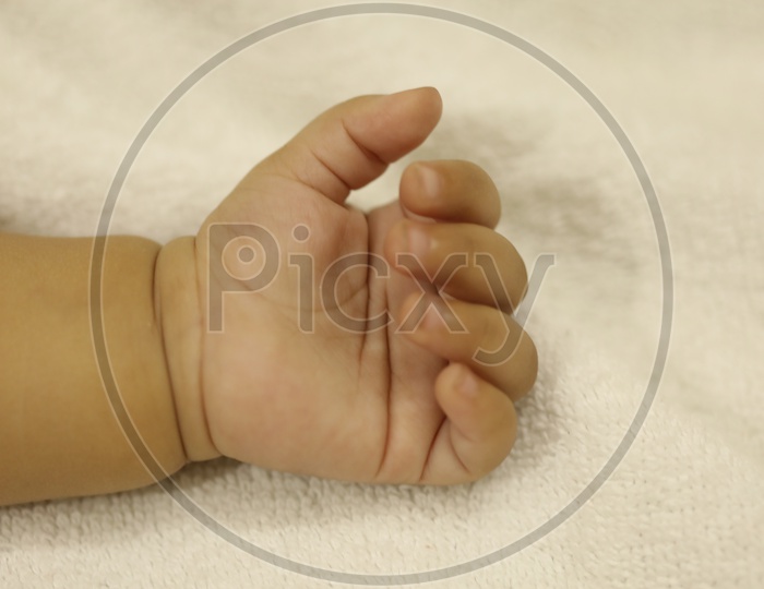 Closeup Shot of Little Baby Hand or Fingers