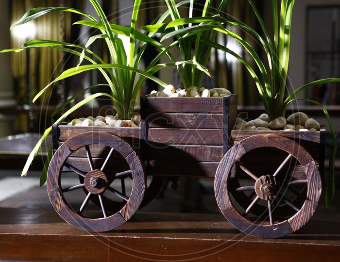 Wooden Cart Model In a House Cupboard  With green Plants