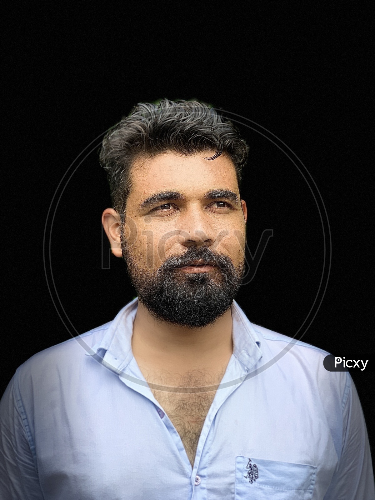 portrait of a beard man