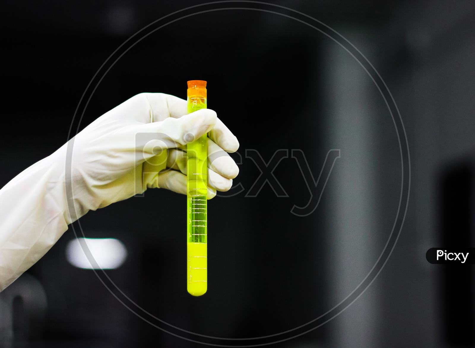 Scientist Holding Albuminometer Containing Yellow Solution With A Cork A Gloved Hand In Chemistry Laboratory