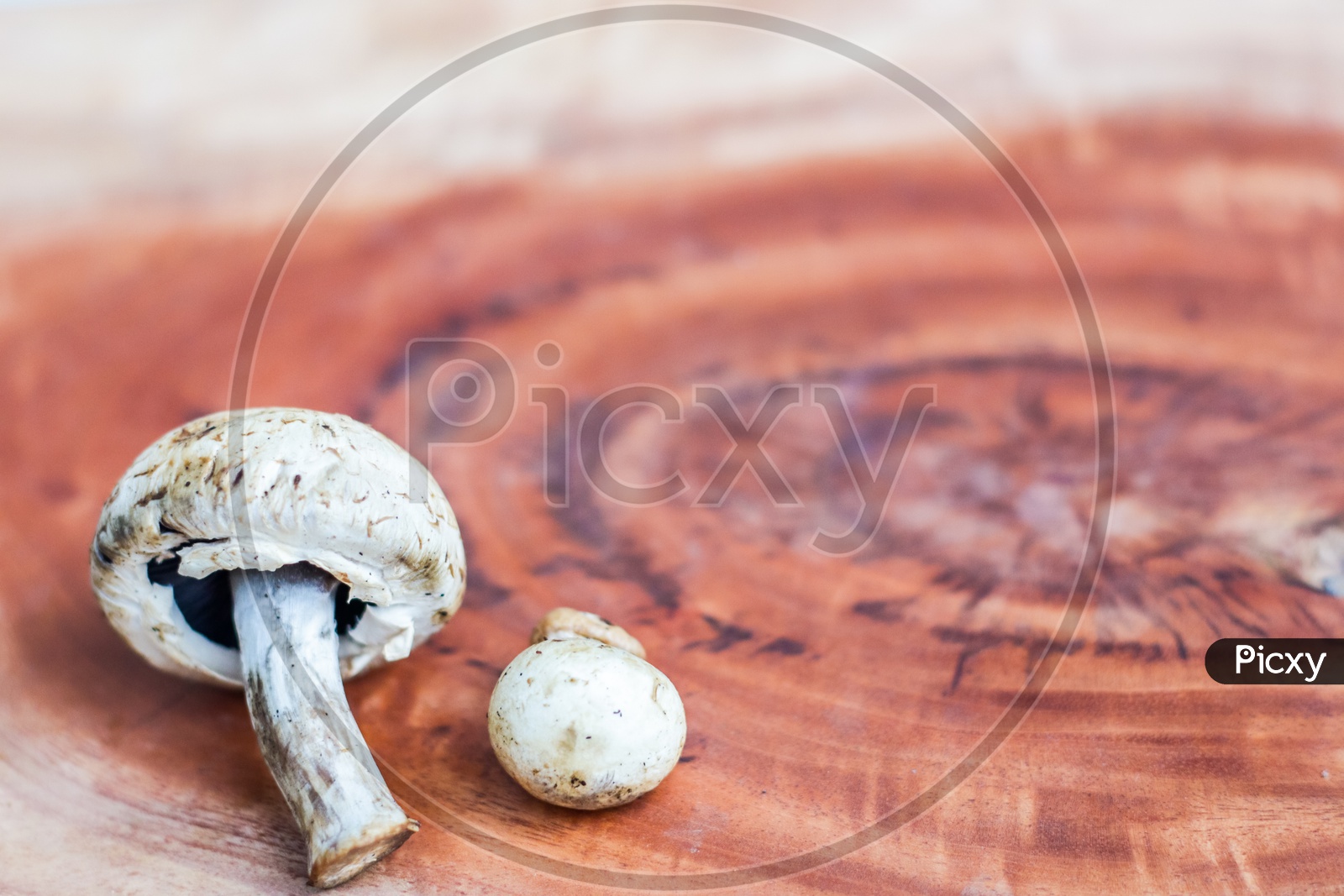 Mushroom On A Wooden Background With Space For Text