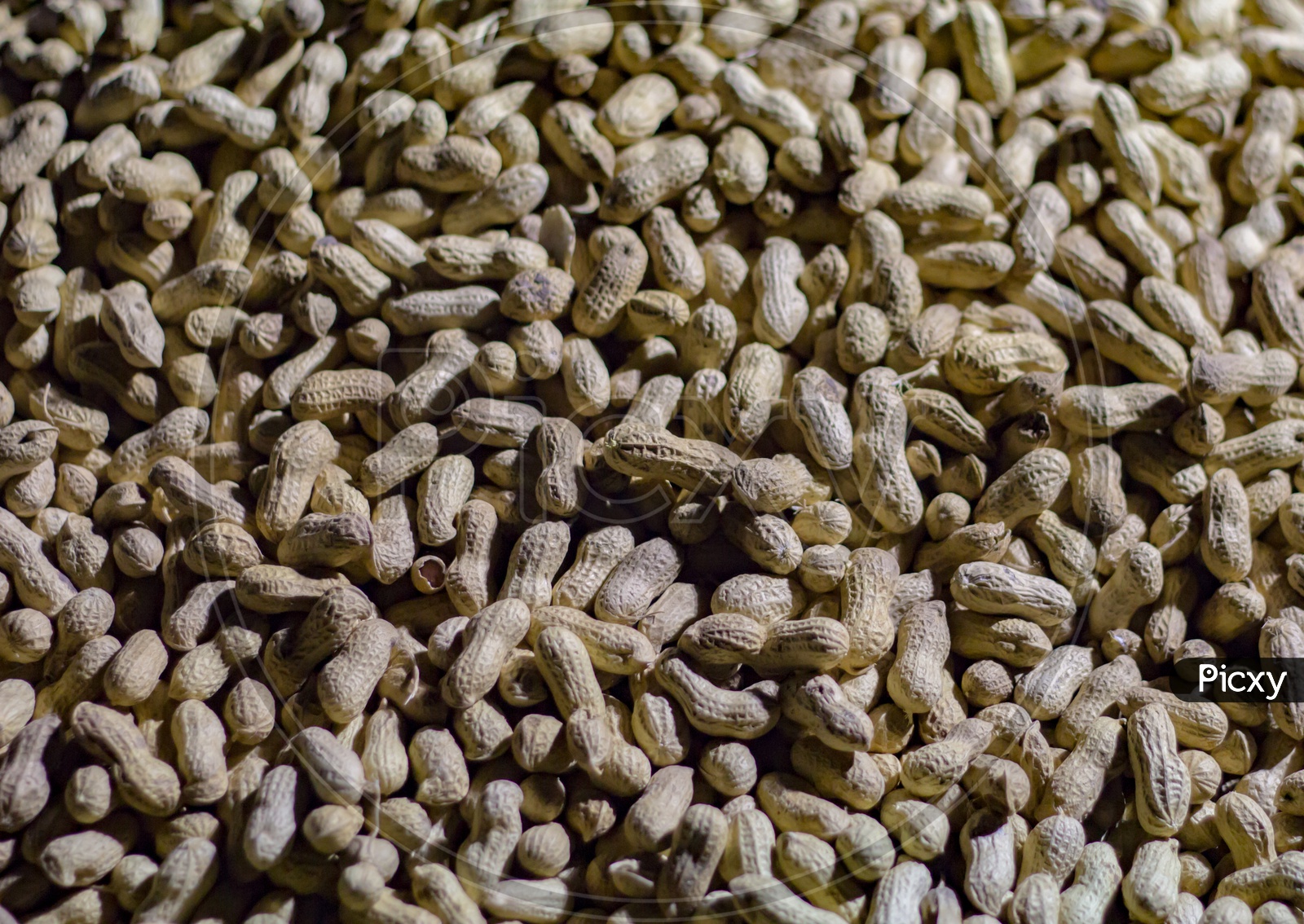 Ground Nuts In A Heap For Sale Close Up. Peanut With Shell.
