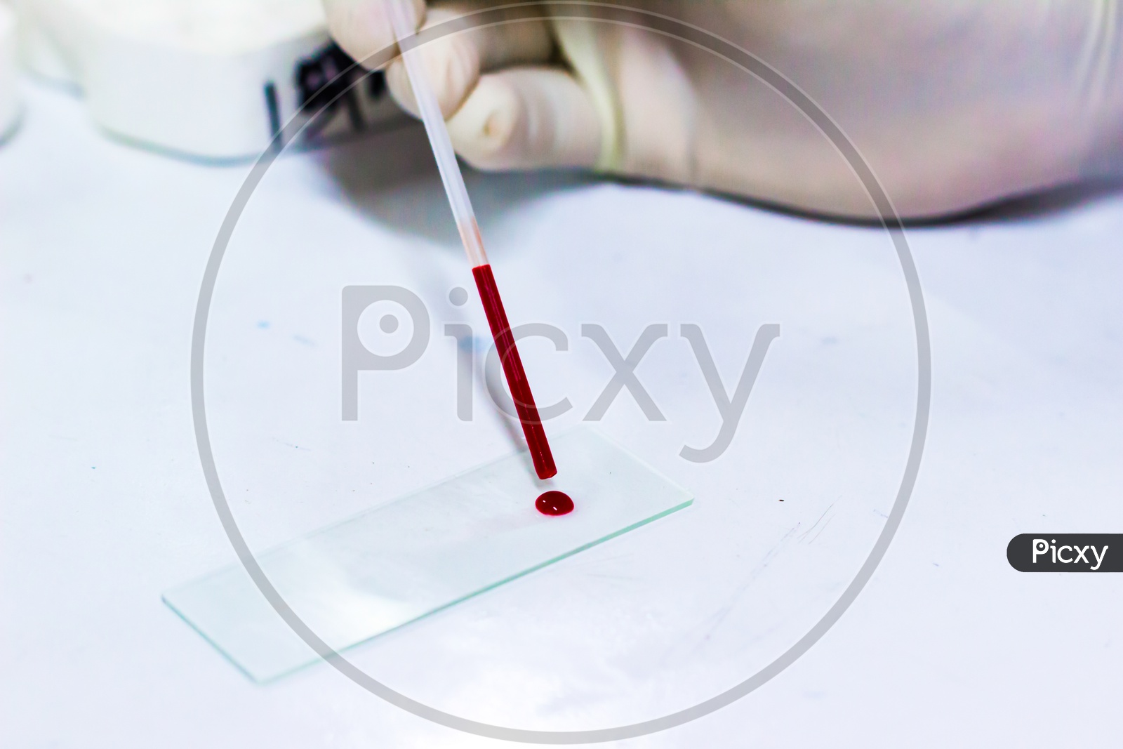 Scientist Dropping A Drop Of Blood On A Glass Slide