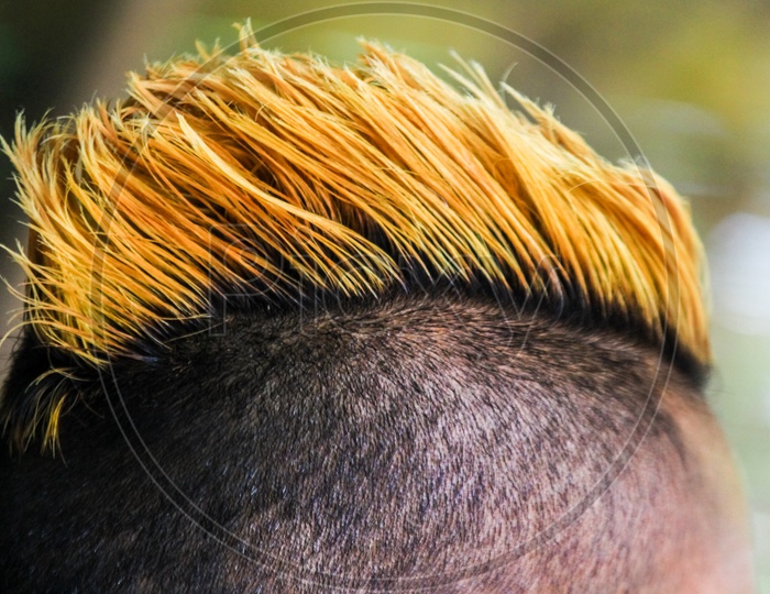 Mohawk Hair Style Close Up View With Yellow Dye Of Hair