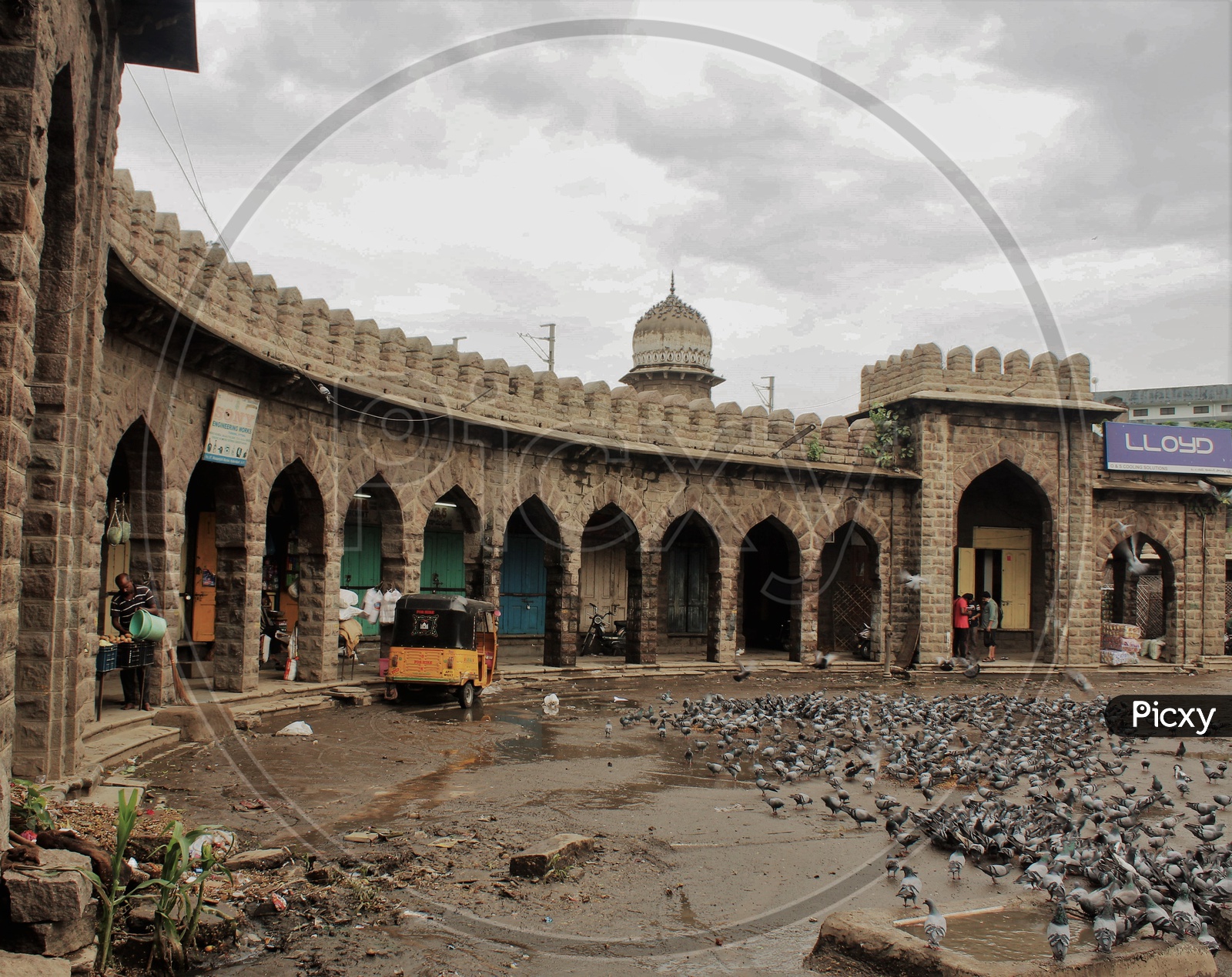 Mozamjahi Market With Pigeons Flock