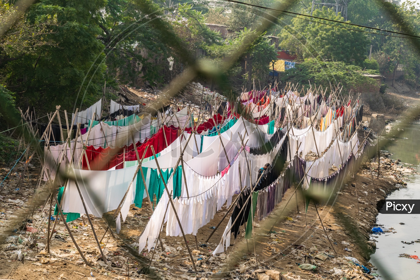 Laundry drying near a Dhobi Ghat