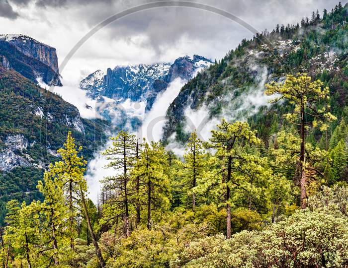 Landscape Of Yosemite National Park In California