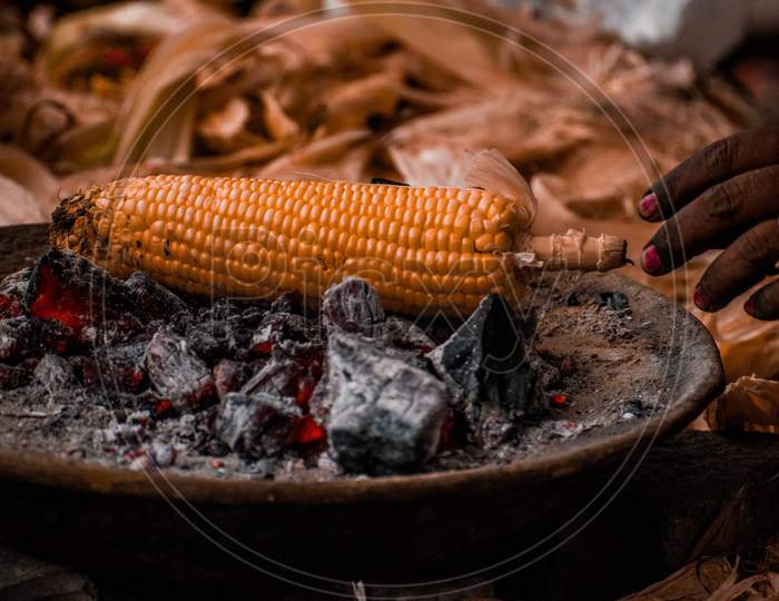 Corn Barbecue On Charcoal