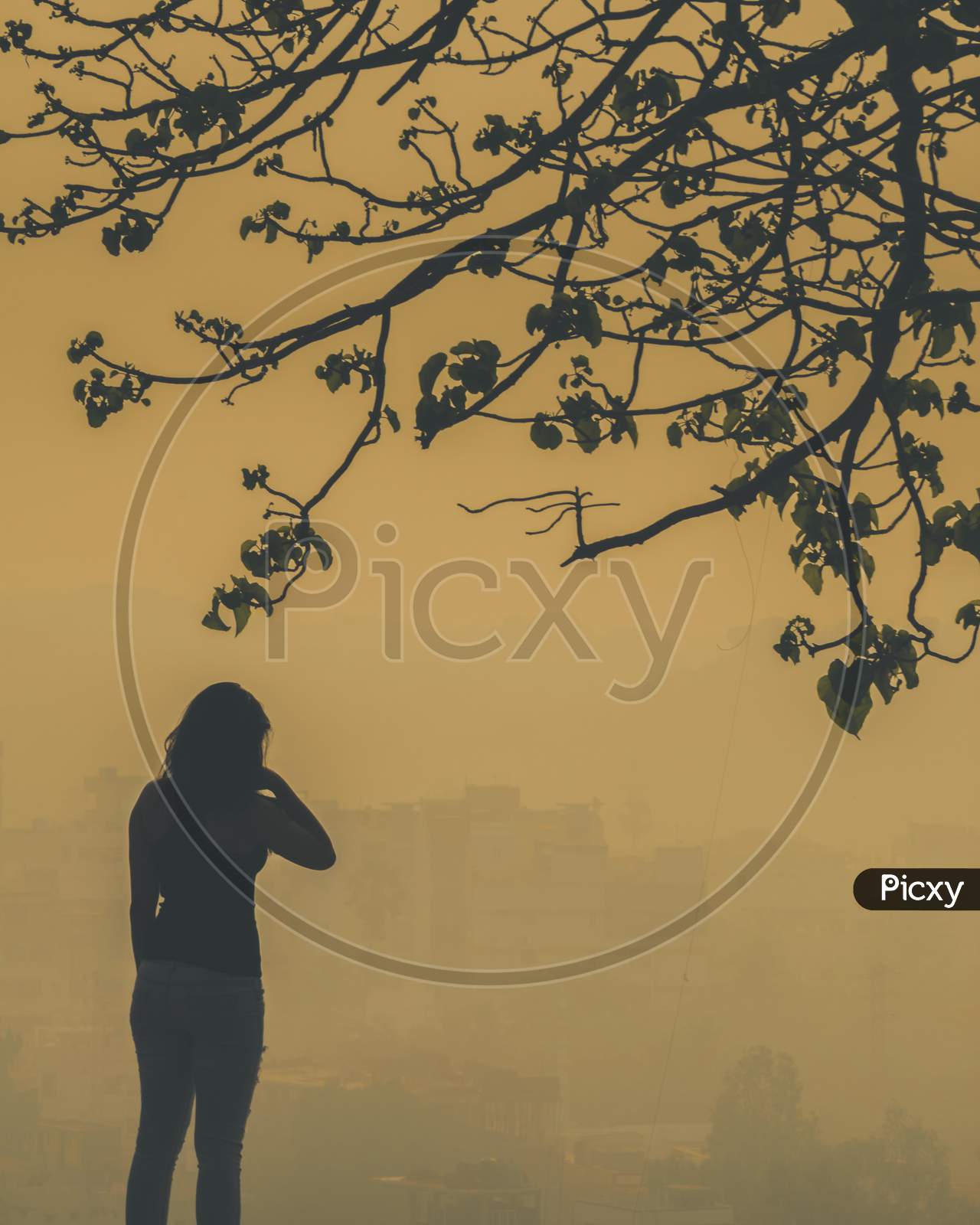 Silhouette of Young Woman Watching Sunrise in Hyderabad